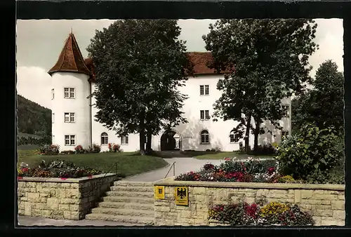 AK Immendingen /Donau, Rathaus und Schloss