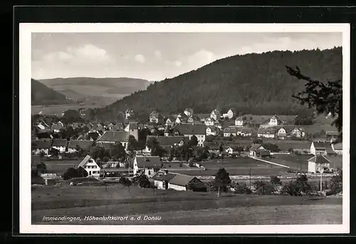 AK Immendingen an der Donau, Teilansicht des Ortes