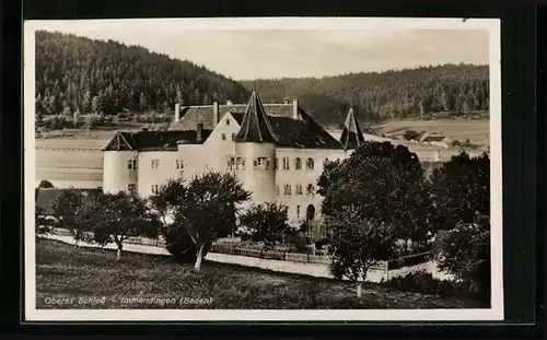 AK Immendingen /Baden, Oberes Schloss mit Waldpartie