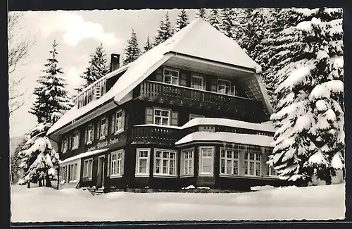 AK Menzenschwand /Schwarzw., Gasthaus-Pension Waldeck W. Kapferer im Winter
