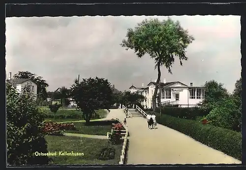 AK Kellenhusen, Park mit Haus Karussel