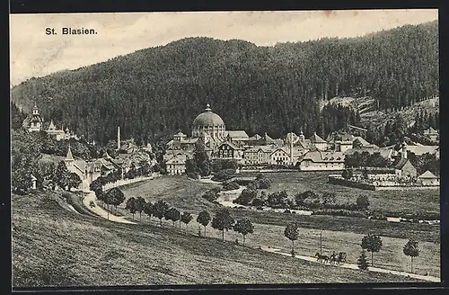 AK St. Blasien im Schwarzwald, Panorama der Stadt