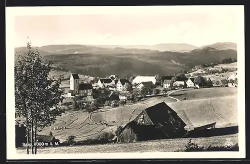 AK Saig, Teilansicht aus der Vogelschau