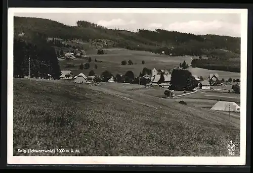 AK Saig /Schwarzwald, Ortsansicht aus der Vogelschau