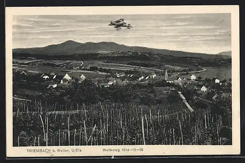 AK Triembach b. Weiler, Ortsansicht während des 1. Weltkriegs