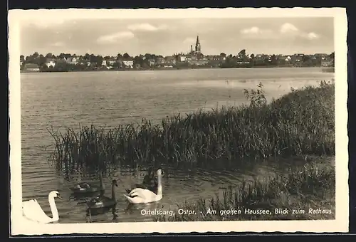 AK Ortelsburg, Am grossen Haussee, Blick zum Rathaus
