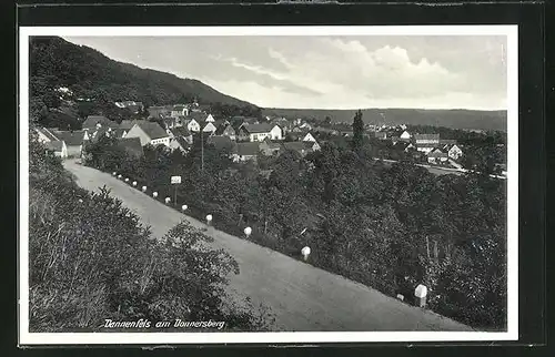 AK Dannenfels a. Donnersberg, Weg in den Ort