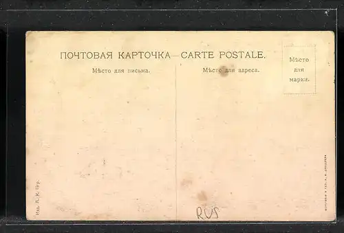 AK Petrograd, Postes de Narwa