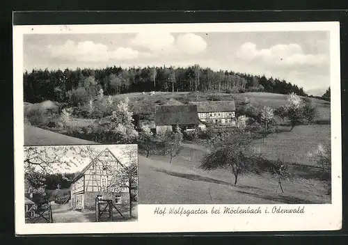 AK Mörlenbach i. Odenwald, Blick nach dem Hof Wolfsgarten