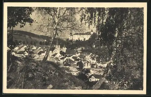 AK Winterberg / Böhmerwald, Panoramablick auf die Ortschaft