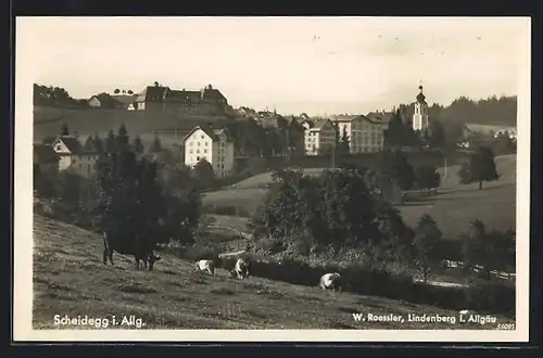AK Scheidegg / Allgäu, Gesamtansicht