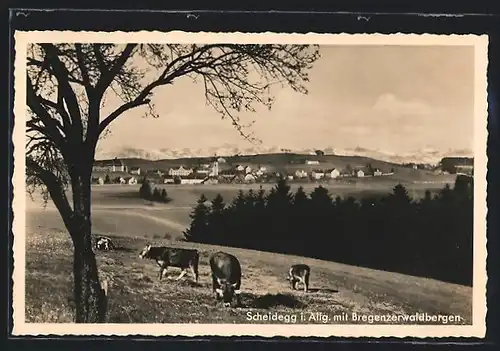 AK Scheidegg i. Allg., Ortsansicht mit Bregenzerwaldbergen