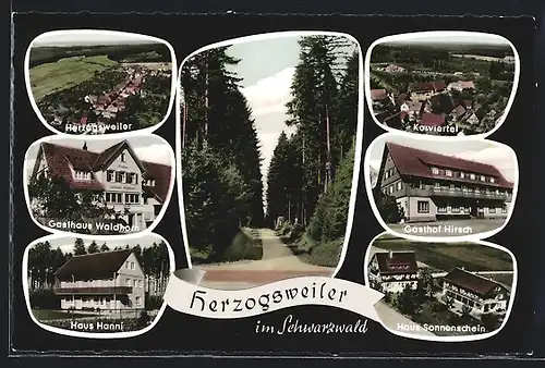 AK Herzogsweiler im Schwarzwald, Haus Hanni, Gasthaus Waldhorn