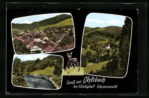 AK Ohlsbach im Kinzigtal /Schwarzwald, Teilansicht, Uferpartie, Ortspartie