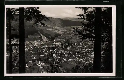 AK Haslach i. K. /Bad. Schwarzwald, Teilansicht mit Bäumen