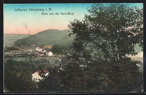 AK Falkenberg i. M., Blick von der Carls-Burg auf den Ort