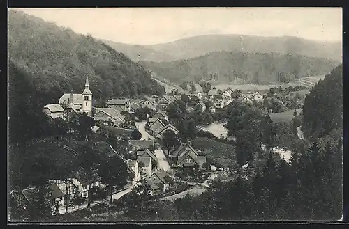 AK Altenbrak i. Bodetal, Teilansicht mit Strassenpartie