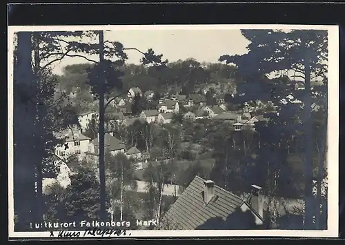 AK Falkenberg /Mark, Teilansicht mit Bäumen