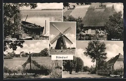 AK Dändorf, Am Bodden, Büdnerei, Dorfstrasse, Blick vom Bodden auf Dändorf, Windmühle