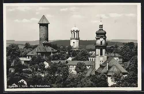 AK Auerbach i. Vgtld., Die 3 Wahrzeichen