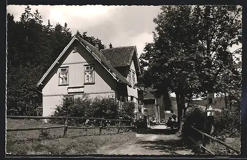 AK Festenburg /Oberharz, Weg zum Gasthaus Zur grünen Tanne