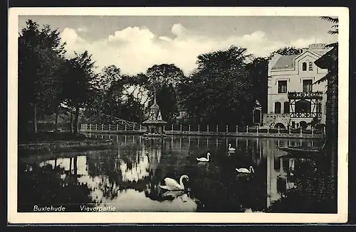 AK Buxtehude, Vieverpartie mit Schwänen