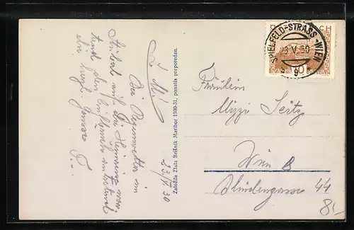 AK Maribor, Panorama