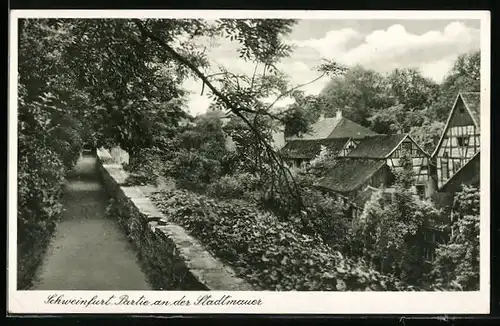 AK Schweinfurt, Partie an der Stadtmauer