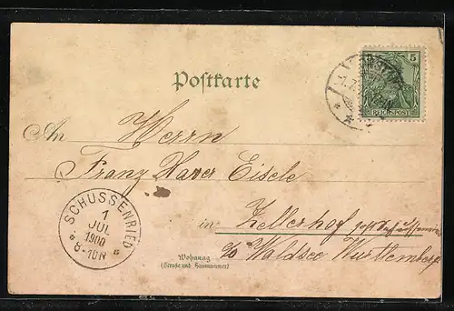 Lithographie Konstanz /Bodensee, Uferpartie, Schloss Mainau, Bahnhof & Hafen Rorschach