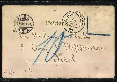 Lithographie Regensburg, Walhalla, Dom, Rathaus