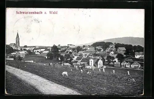 AK Schwarzenbach a. Wald, Ortsansicht mit Hirten und Herde