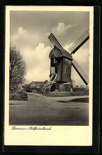 AK Dornum /Ostfriesland, Blick auf die Mühle