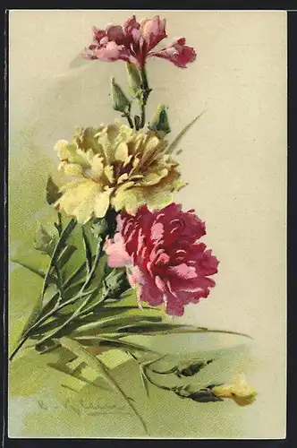 Präge-Künstler-AK Catharina Klein: Gelbe und Rosafarbene Blumen in voller Pracht