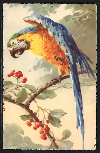 Künstler-AK Catharina Klein: Blau-gelber Papagei auf einem Ast mit roten Beeren