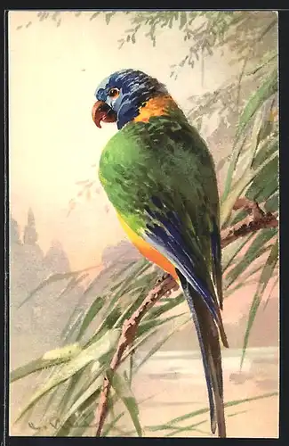 Künstler-AK Catharina Klein: Papagei an einem Fluss