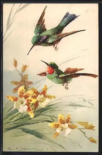 Künstler-AK Catharina Klein: Kolibris und gelbe Blumen