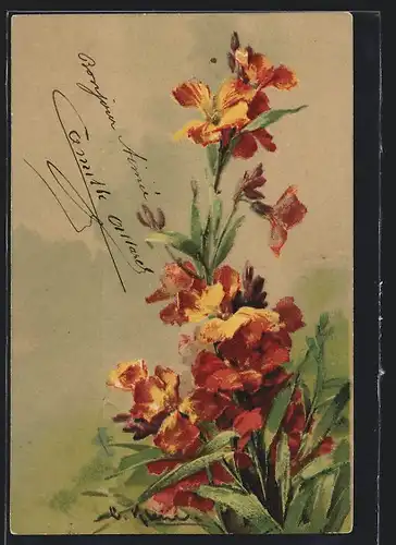 Künstler-AK Catharina Klein: Blumen auf einer Wiese