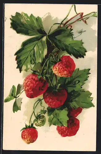 AK Erdbeeren mit Blättern