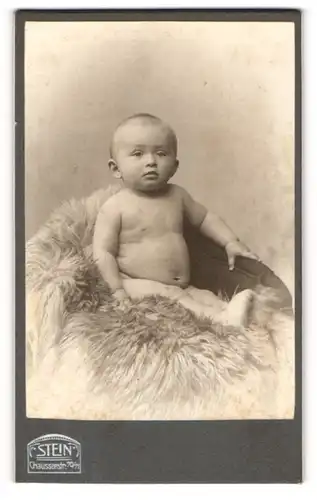 Fotografie Atelier Stein, Berlin, Portrait nackte Baby auf einem Fell posierend