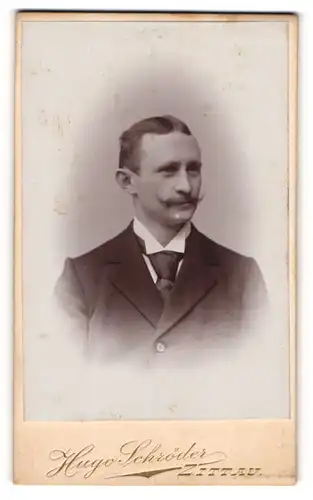 Fotografie Hugo Schröder, Zittau, Portrait junger Mann im Anzug mit Krawatte und Zwirbelbart
