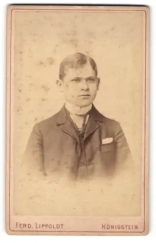 Fotografie Ferd. Lippodt, Königstein, Portrait junger Mann in modischer Kleidung mit Krawatte