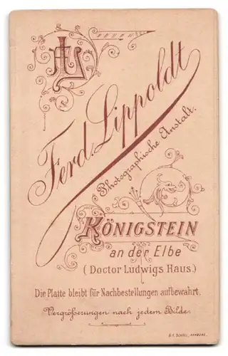 Fotografie Ferd. Lippodt, Königstein, Portrait junger Mann in modischer Kleidung mit Krawatte