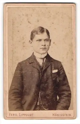 Fotografie Ferd. Lippoldt, Königstein, Portrait junger Mann in modischer Kleidung mit Krawatte