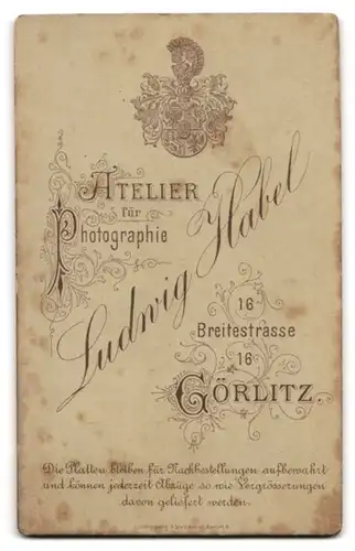 Fotografie Ludwig Habel, Görlitz, Portrait hübsch gekleidete Dame mit Kragenbrosche