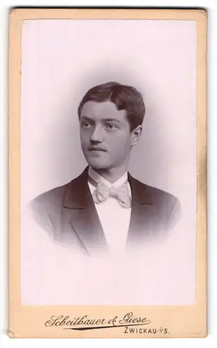 Fotografie Scheithauer & Giese, Zwickau i / S., Portrait junger Herr im Anzug mit Fliege