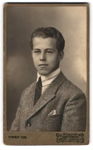 Fotografie Louis Penzel, Görlitz, Portrait junger Mann im Anzug mit Krawatte und Einstecktuch