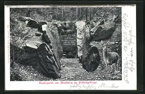 AK Zell / Fichtelgebirge, Blick auf die Saale-Quelle am Waldstein