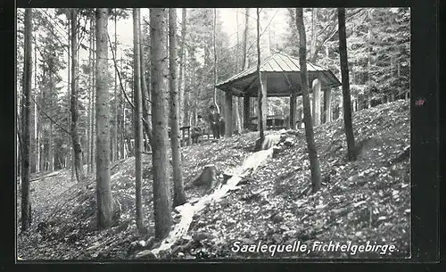 AK Zell / Fichtelgebirge, Partie mit Pavillon und Saale-Quelle