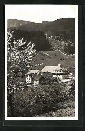 AK Lenzkirch, Hotel Hirschen