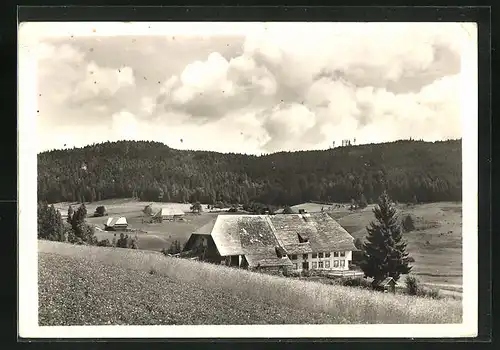 AK Lindau, Gasdthaus und Pension zum Adler
